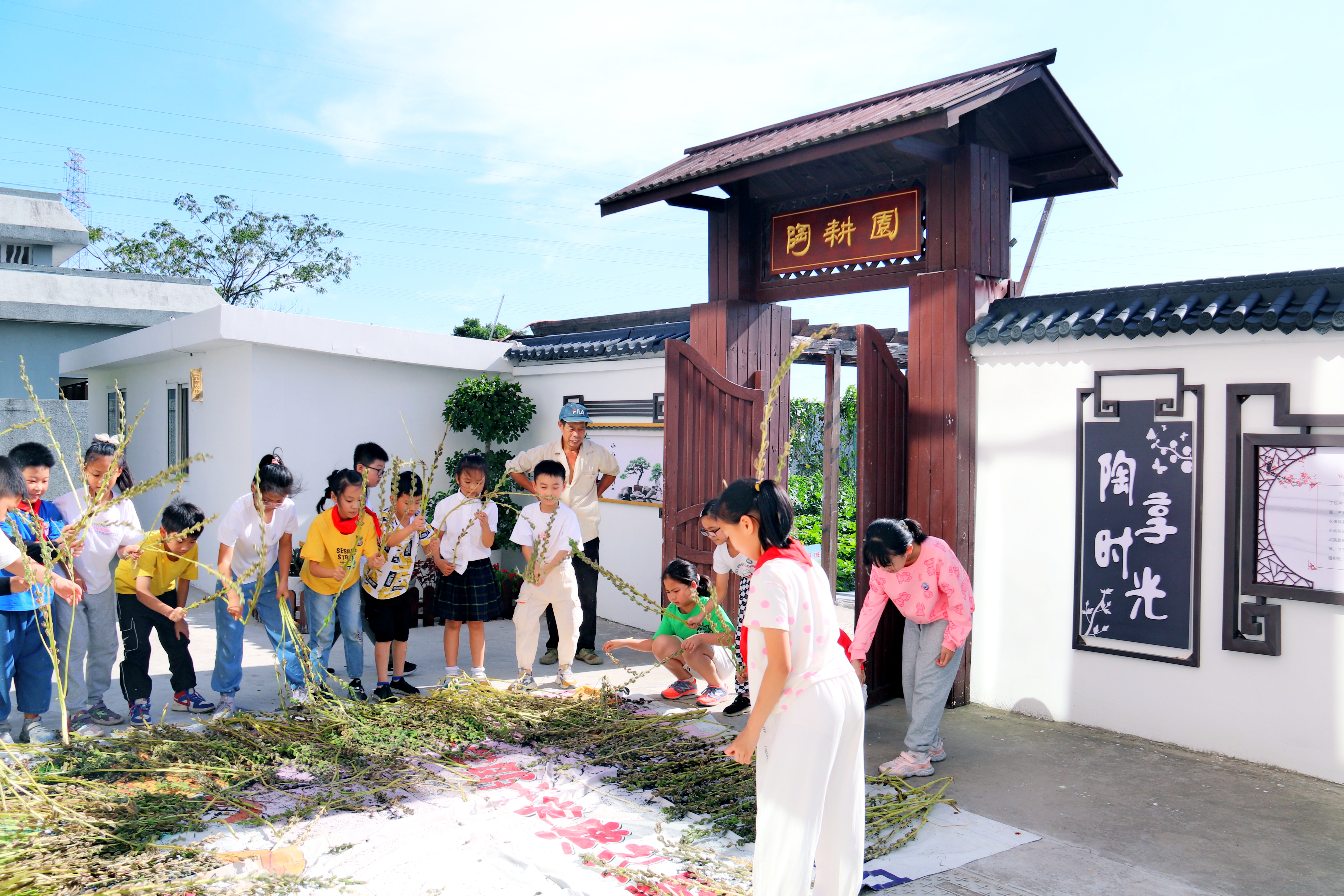 鎮(zhèn)海區(qū)九龍湖中心學(xué)校的學(xué)生在陶耕園勞作 學(xué)校供圖.jpg