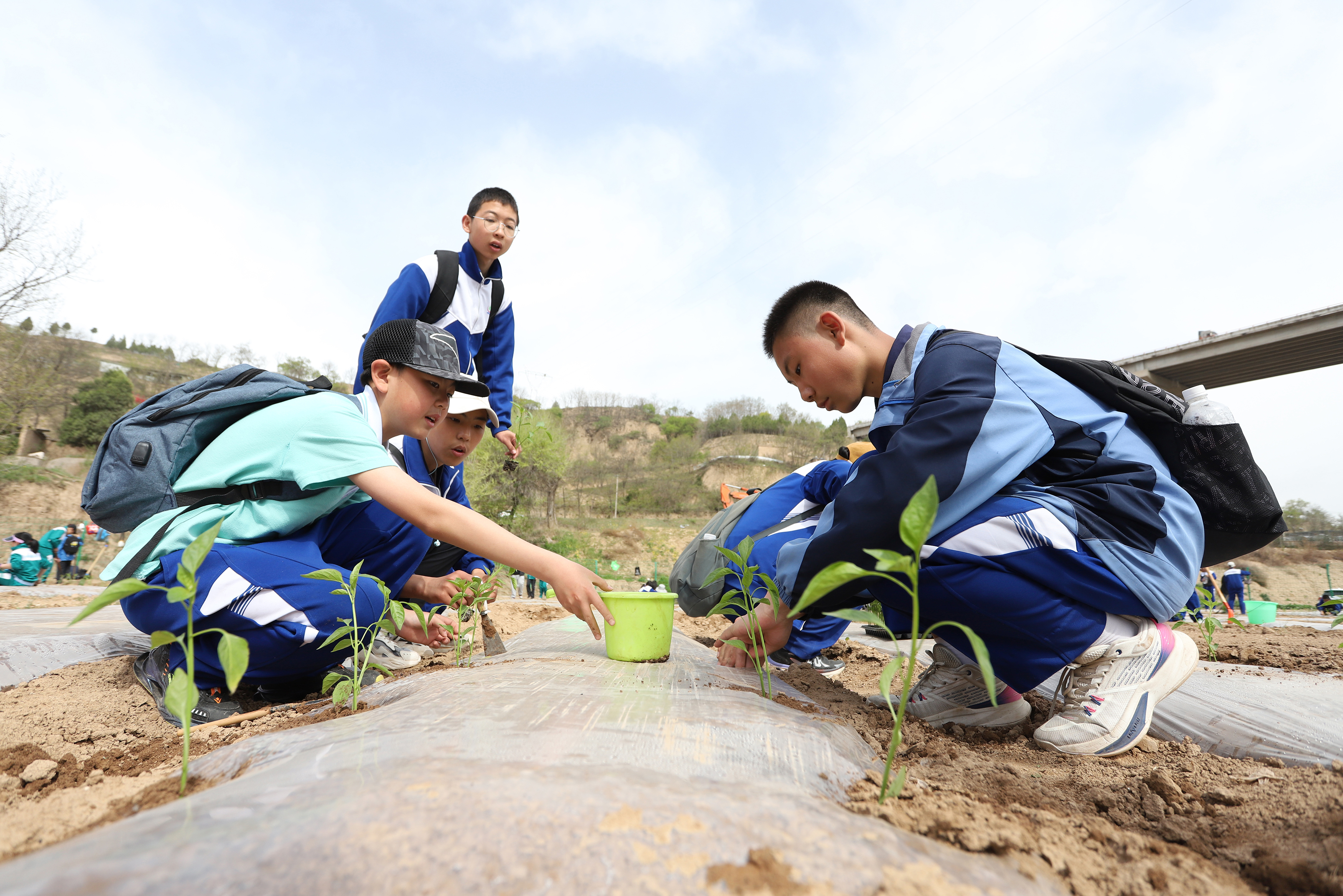 06——4月27日，在甘肅省平?jīng)鍪械谒闹袑W(xué)行知園學(xué)農(nóng)基地里，學(xué)生們在給剛剛種植的辣椒苗澆水。.JPG